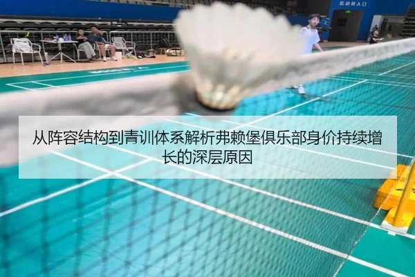 从阵容结构到青训体系解析弗赖堡俱乐部身价持续增长的深层原因